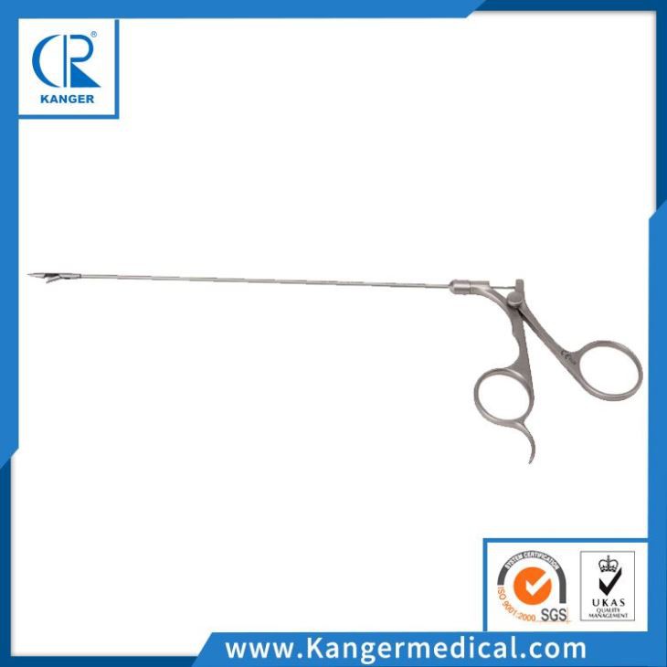 Hernia Forceps/neeedle