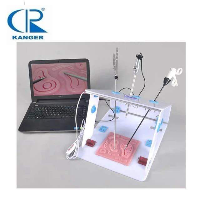 Laparoscopic Endo Trainer Laparoscopic Surgery Practise Training Box Trainer Best For Intern Doctor