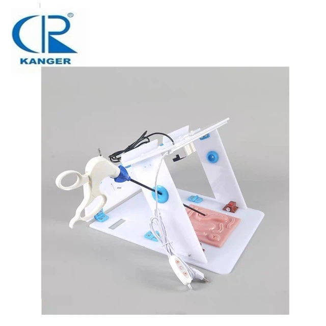 Laparoscopic Endo Trainer