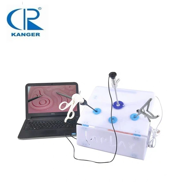 Laparoscopic Endo Trainer Laparoscopic Surgery Practise Training Box Trainer Best For Intern Doctor