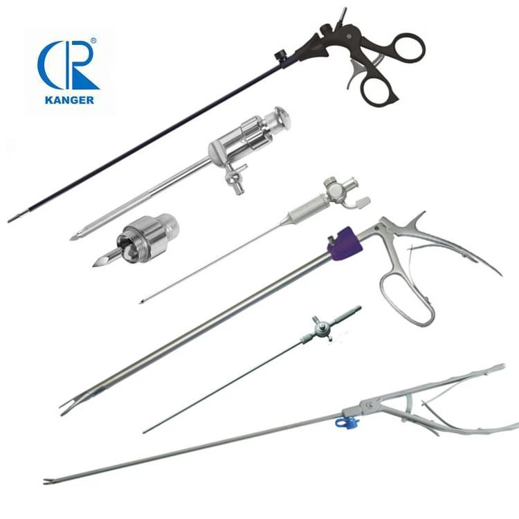 Innovation Frontiers: The Future of Disposable Laparoscopic and Endoscopic In...